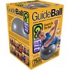 Gofit Professional Grade Core Stability Ball (75cm; Silver) GF-75PRO